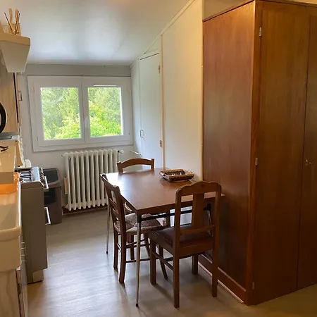 Apartment Le Tourbillon La Bourboule