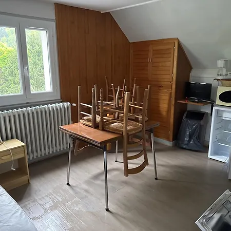 Le Tourbillon Apartment La Bourboule